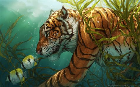 43 Tiger In Water Wallpaper Wallpapersafari