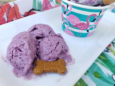 Dog Ice Cream Recipe Fruity Frozen Yogurt Vitacost Blog