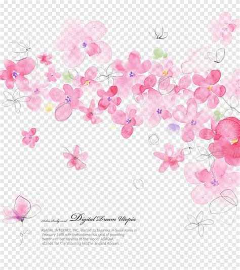 Illustrazione Di Fiori Rosa Disegno Floreale Fiore Modello Rosa