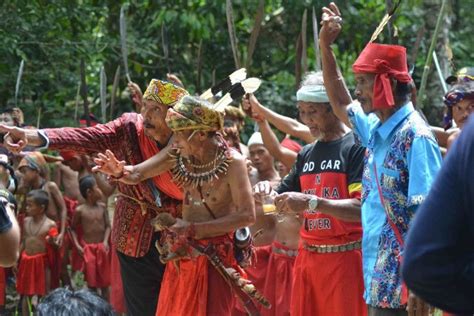 Sesembahan Suku Dayak Bidayuh Di Ritual Pencucian Tengkorak