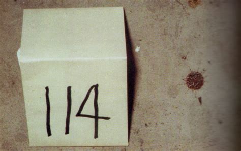 The O.J. Simpson Case: Gathering and Analysing Facts