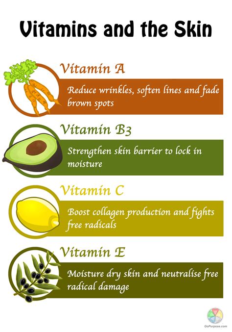 Vitamins Are Essential For A Healthy Body And Humans Obtain A Variety