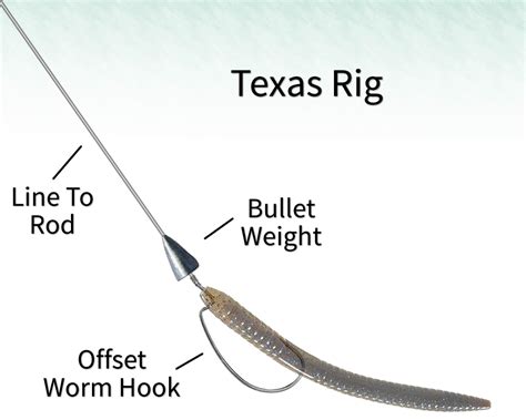 Your Guide To Using Plastic Worms For Bass Fishing Lure Me Fish