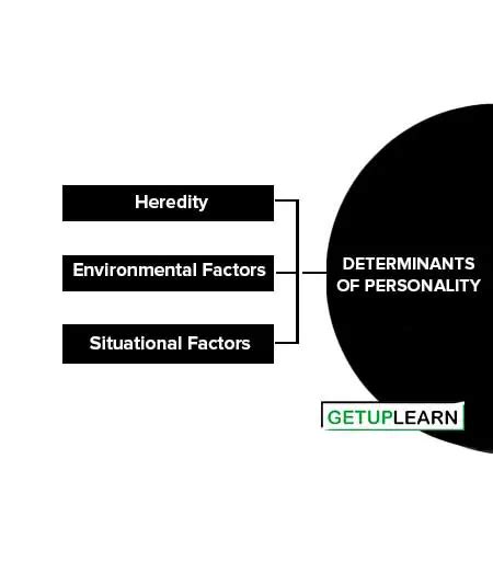 8 Major Types Of Personality And Determinants Getuplearn