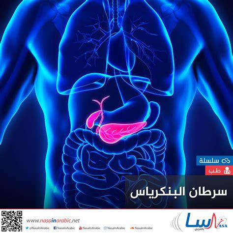 It begins with mutations of pancreatic cells. ناسا بالعربي - سرطان البنكرياس