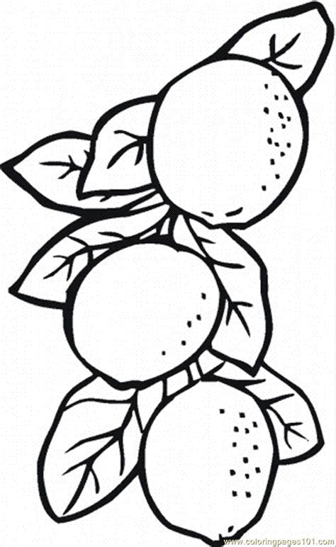 Lemon 7 Coloring Page - Free Lemons and Limes Coloring Pages : ColoringPages101.com