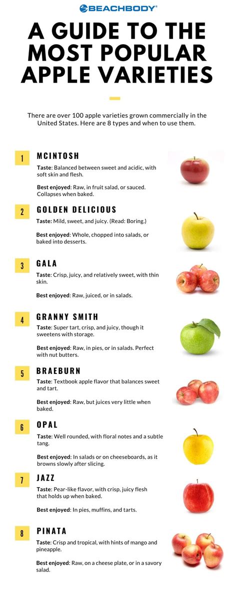 A Guide To The Most Popular Apple Varieties Bodi