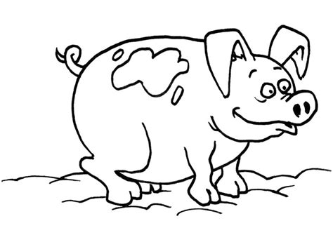 Pig In Mud Coloring Page Coloring Pages
