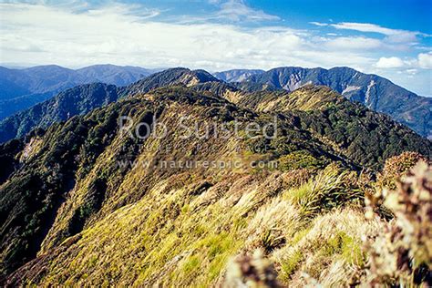 North Along Main Range Of The Remutaka Rimutaka Range From Mount Mt