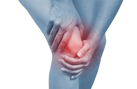 5 Tips To Help Treat Your Knee Cap Pain La Trobe Sport And Exercise