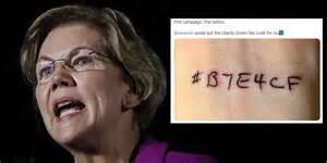 US election: Elizabeth Warren supporter criticised for tribute tattoo 
