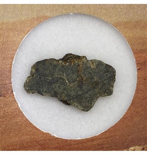 Fossils Martian Shergottite Amgala 001 Martian Meteorite