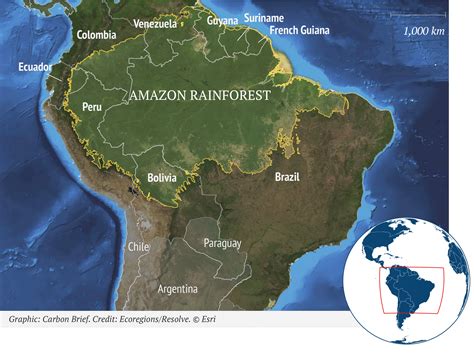 Guest Post Could Climate Change And Deforestation Spark Amazon