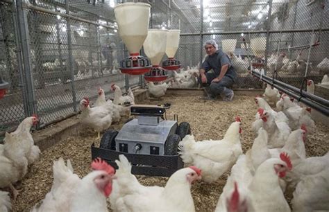 Advances In Poultry Robotics Canadian Poultry Magazinecanadian Poultry Magazine