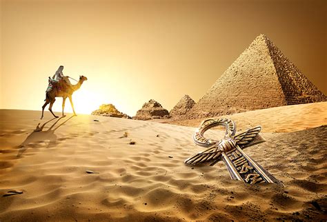 Photos Camels Egypt Cairo Desert Nature Sand Sunrises And Sunsets