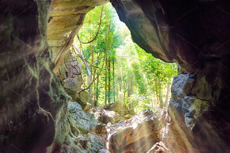 View From Inside To Cave Entrance Cave Entrance Natural Cave Forest