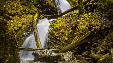 Download Wallpaper 2560x1440 Waterfall Rock Trees Water Stream