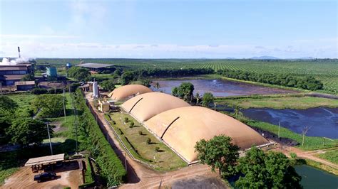 Membangun Pembangkit Listrik Tenaga Biogas Dari Limbah Kelapa Sawit Images And Photos Finder