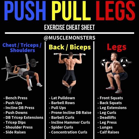 Push Pull Legs Weight Training Workout Schedule For 7 Days GymGuider