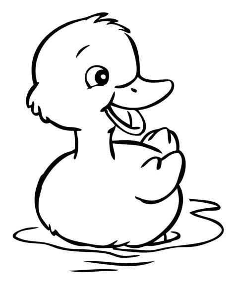 Duck Template Animal Templates Free And Premium Templates