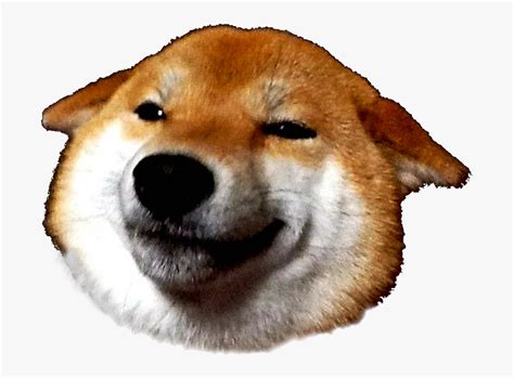 Doge Head Png Image Shiba Inu Discord Emojis Free Transparent