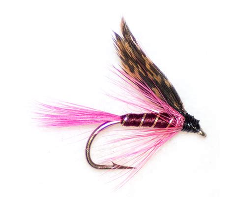 Montreal Traditional Wet Fly From The Guys At Fish Fishing Flies