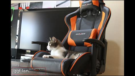 Dxracer air series d7100 pink. #0089 - DXRacer F Series Gaming/Desk Chair review - YouTube