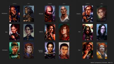 Alternative Companions Portraits At Baldur S Gate Nexus Mods And Community