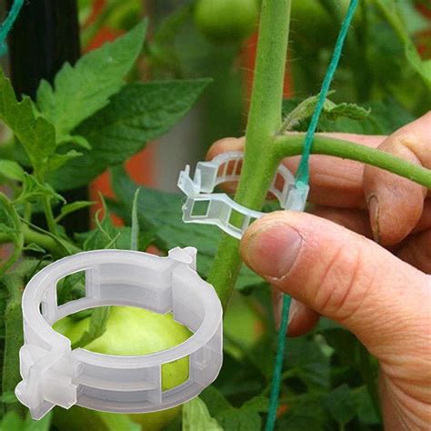 100pc Trellis Tomato Clips Supports Connects Plants Hold Branches Up