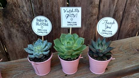 Pink Succulent Favors Baby Shower Pink Party Favors Thank Etsy