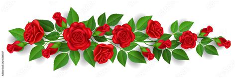 Horizontal Banner With Red Rose Flower Bud And Green Leaf Vector