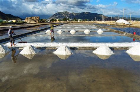 Making The Salt From Sea Water In Vietnam Stock Image Image Of