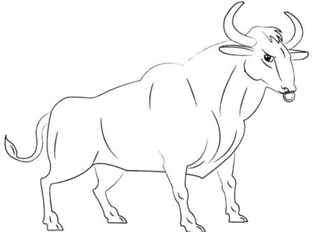 Cómo Dibujar El Toro El Héroe De La Corrida De Toros Española