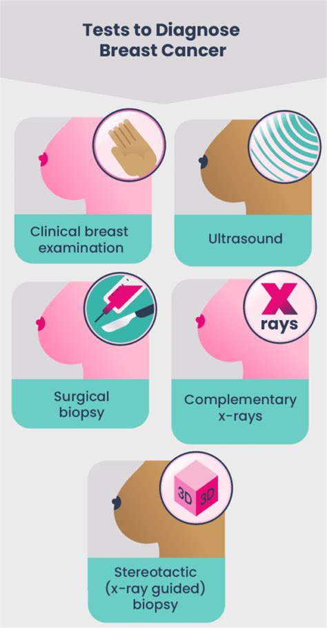 Breast Cancer Examinations And Diagnosis Ruban Rose