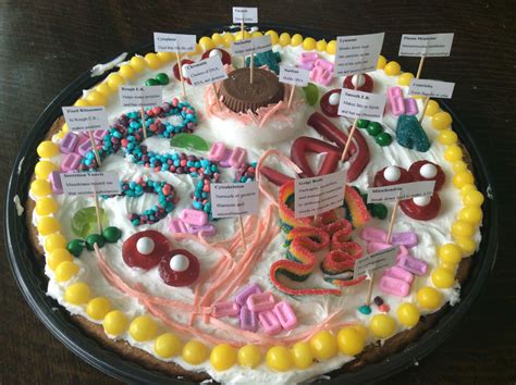 Edible Animal Cell By Henry And Michael Edible Cell Animal Cell