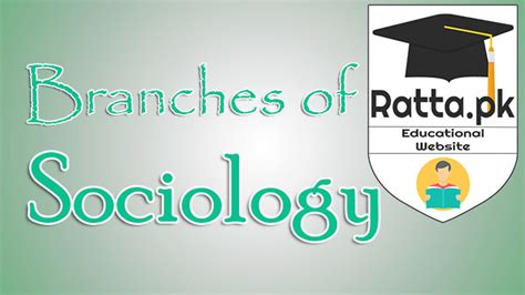 13 Major Branches Of Sociology Rattapk