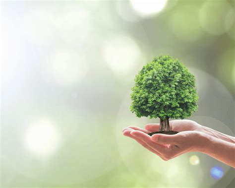 Beneficios de ser una empresa sostenible - Packhelp