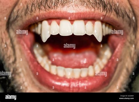 Vampire Teeth Blood High Resolution Stock Photography And Images Alamy