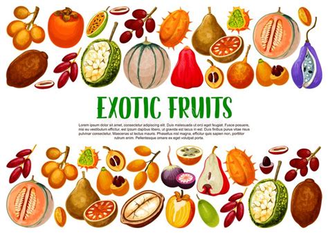 Kiwano Melon Sketch Exotic Tropcial Vector Fruit Stock Vector