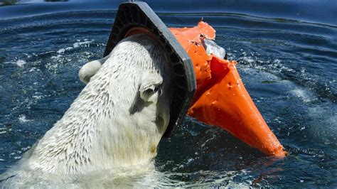 Plastic Pollution The Horrific Impact Our Waste Has On The Ocean