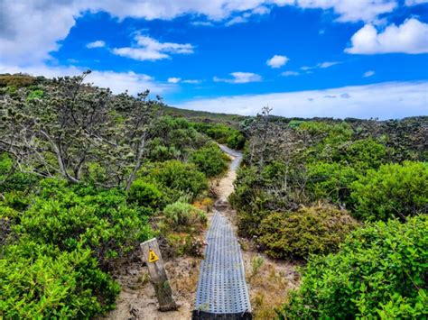 Bibbulmun Track Long Distance Walking Trail From Perth To Albany