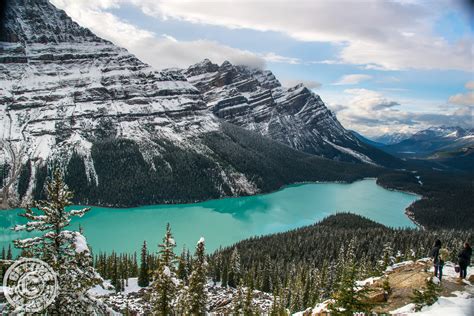 Peyto Lake Banff National Park Things To Do In Banff For The Non