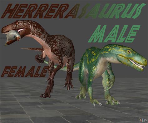 Herrerasaurus Evolution By Spinoskingdom875 On Deviantart