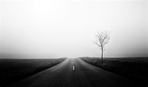Foggy Road Free Stock Photo Public Domain Pictures