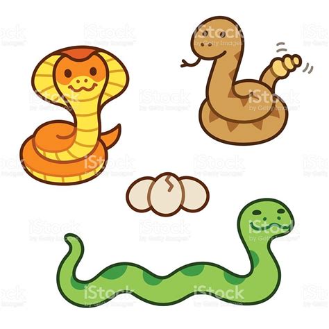 Cute Cartoon Snakes Set Vector Id610016764 1024×1024 Cute Snake