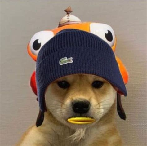 A Brown Dog Wearing A Blue Hat With Orange Eyes