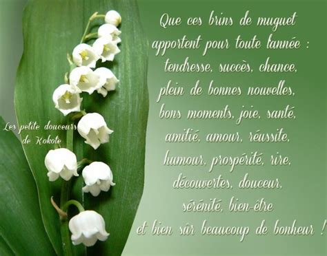 Un brin de muguet virtuel pour tous. joyeux 1 Mai de bonheur dans votre vie , bisous doux ...