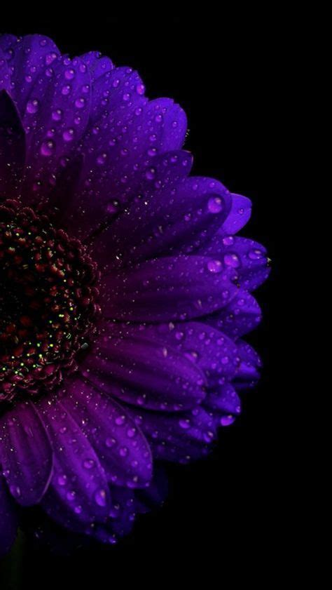5g on iphone isn't just faster, it's smarter, too. Dark Purple Aesthetic Wallpaper Iphone 38 Ideas | Purple ...