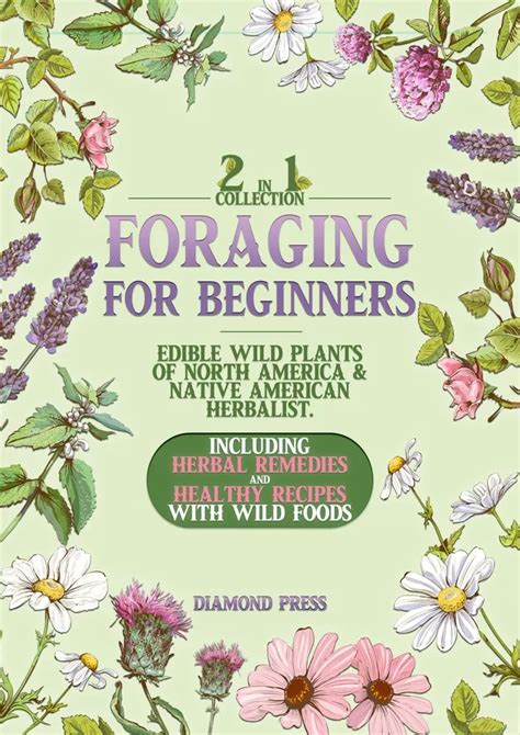 Ppt Pdfdownload Foraging For Beginners 2 In 1 Collection Edible