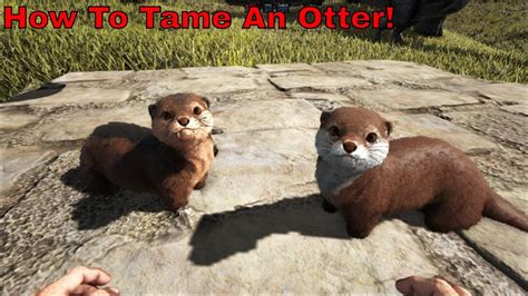 How To Tame An Otter Ark Survival Evolved58 Youtube